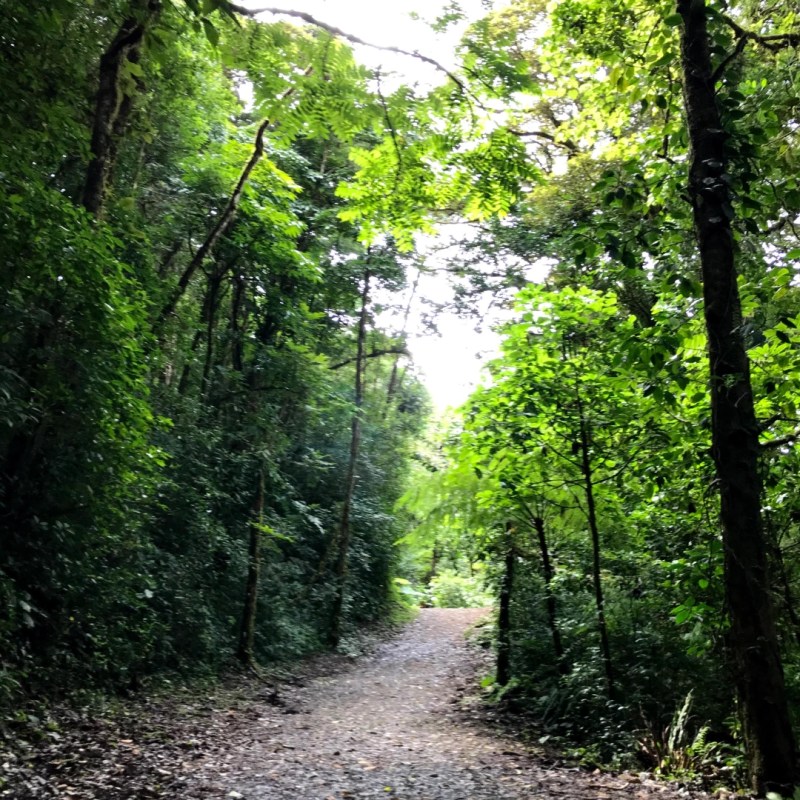 Mi inicio en la Agilidad